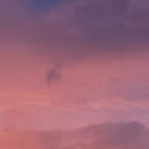 Meet your Posher, Sophie